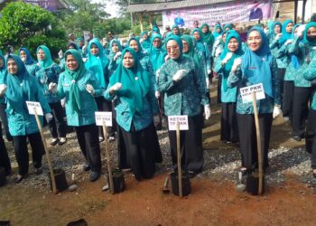 Tangani Inflasi Pangan, Ketua TP PKK Mesuji Ikut Sukseskan Program Nasional Gertam Cabai