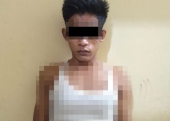 Polsek Bumi Agung Ringkus DPO Pelaku Curat Buah Tandan Sawit di Tanjung Dalam