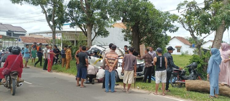 Pohon Albasia di Metro Tumbang, Pengendara Mobil Asal Lamteng Terluka