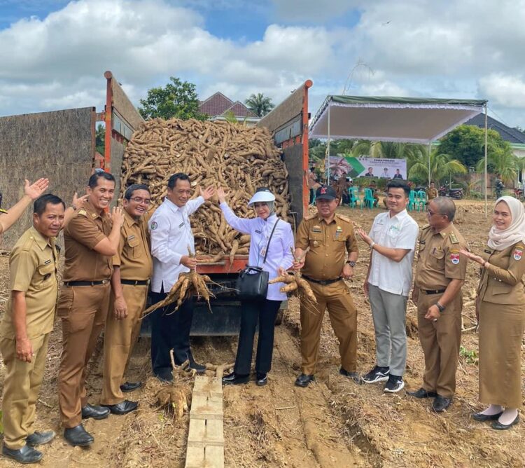 Pemkab Mesuji Panen Perdana Singkong Program CSV Bersama Kemendes PDTT RI