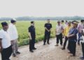 Pj.Bupati Pringsewu Tinjau Jalan Rusak di Kecamatan Banyumas