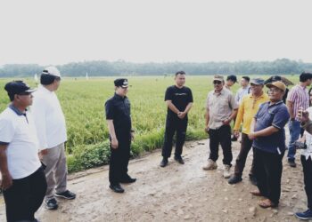 Pj.Bupati Pringsewu Tinjau Jalan Rusak di Kecamatan Banyumas