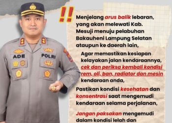 Pastikan Keselamatan Pemudik, Kapolres Mesuji Beri Himbauan Ini