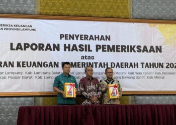 Mesuji Kembali Raih Opini WTP Empat Kali Berturut-turut