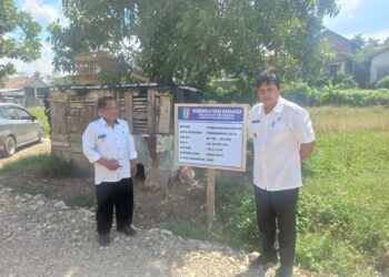 Pekon Margakaya Dana Desa Tahap Satu Realisasi Penimbunan Jalan, Rabat Beton, dan Drainase.