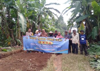 Mudahkan Akses Transportasi, Pekon Tri Tunggal Mulya Buka Badan Jalan Melalui PKTD