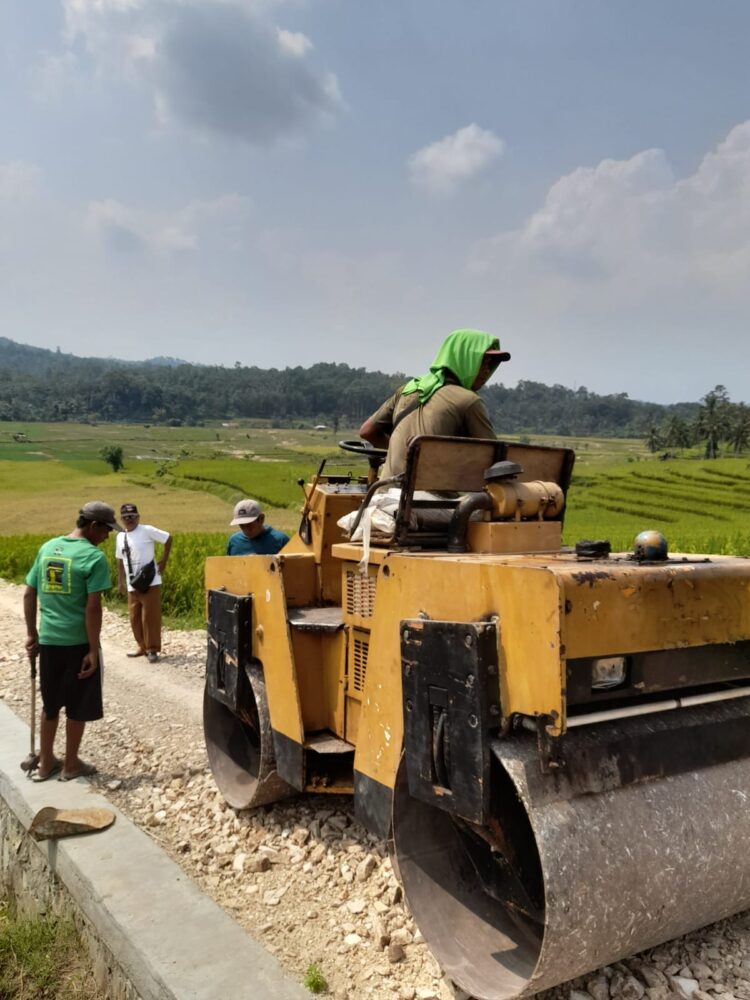 Gunakan Dana Desa 2024, Pekon Rejosari Timbun 101m Jalan Usaha Tani