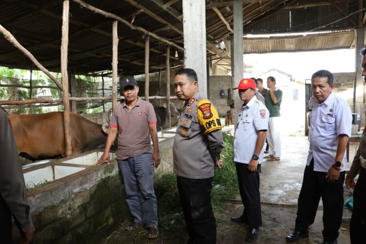 Jelang Hari Raya Idul Adha 1445 H, Kapolres Mesuji Cek Kesiapan Hewan Qurban