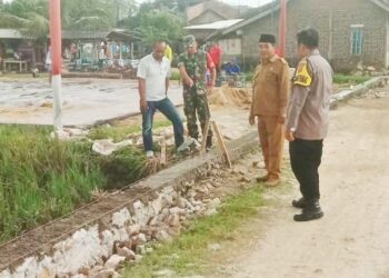 Program Dana Desa 2024, Pekon Wonosari Realisasikan Pembangunan Talud dan Penyabesan