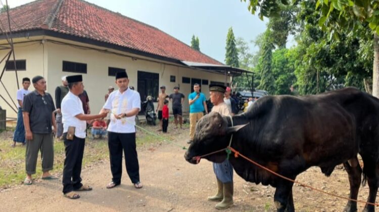 Hari Raya Idul Adha 1445 H, Polres Lampura Sembelih 2 Ekor Sapi Dan 4 Kambing
