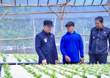Pj Bupati Pringsewu Tinjau Budidaya Pertanian Hydroponic di Pekon Margosari