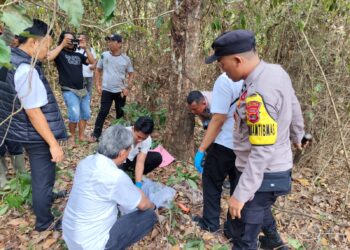 Polres Tubaba Dalami Temuan Tulang Rangka Manusia