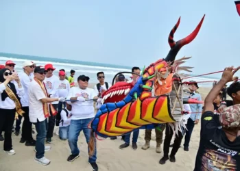Nanang Ermanto, resmi buka Kalianda Kite Festival III