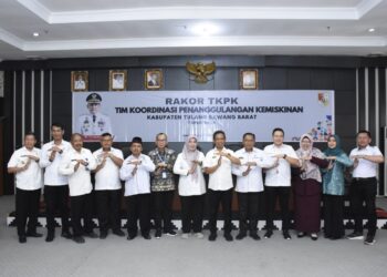 Kemiskinan Tubaba Dibawah Provinsi Lampung, Tugas TKPK Perumusan, Perencanaan, Pemantauan