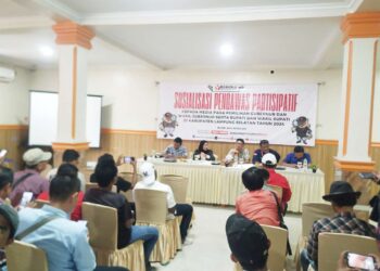 Bawaslu Lampung Selatan ajak Media untuk awasi dan sukseskan Pilkada serentak 2024