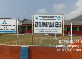 SDN 1 Tejang Pulau Sebesi, bakal dibangun tahun 2025 melalui program rehabilitasi sekolah pembiayaan Dana Alokasi Khusus (DAK)