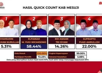 Raih Suara 50 Persen Lebih, Pasangan Elfianah-M Yugi Wicaksono Unggul di Pilkada Mesuji 2024