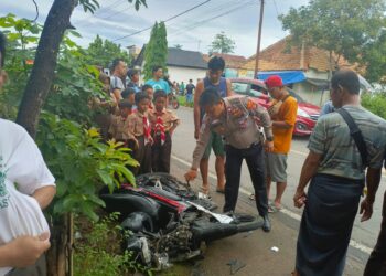 Dibuka Pj Bupati Pringsewu, Puncak Peringatan HKN Ke-60 Diisi Berbagai Kegiatan