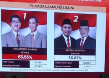 Survei Hitung Cepat, Pilkada Lampura, Hamartoni – Romli Unggul 63,93 Persen