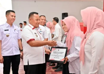 Horee…!?Guru Honorer dan Guru Kepulauan PNS dan Non PNS jenjang TK/PAUD, SD, SMP serta Operator Sekolah terima Insentif