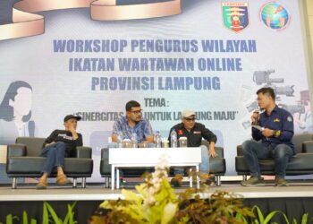 Peringatan Hari Disabilitas Internasional 2024, Optimalisasi Sinergi Media, Dunia Usaha, Pemerintah, dan Komunitas