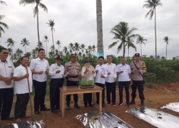 Polres Pringsewu dan Dinas Pertanian Dorong Ketahanan Pangan Lewat Bantuan Bibit Cabai