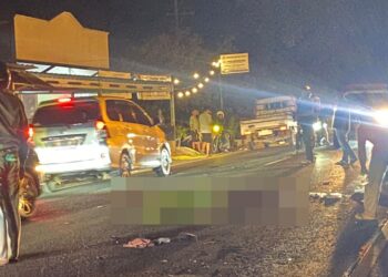Kecelakaan Maut di Jalinbar Pringsewu: Seorang Pemotor Tewas di Tempat