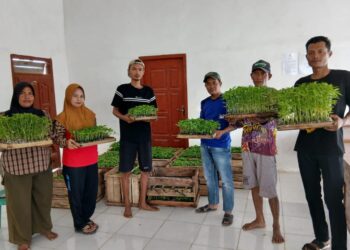 Tekan Inflasi, Pemdes Tirtalaga Bagikan 7500 Batang Bibit Cabai