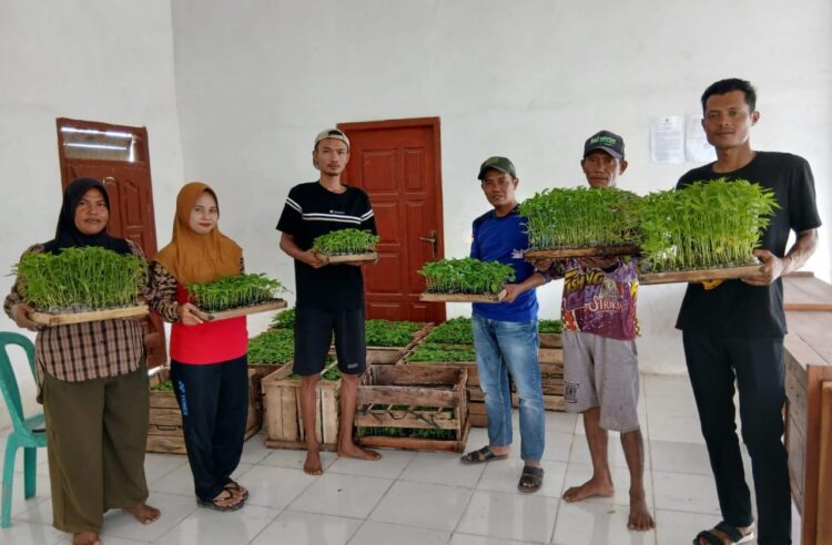 Tekan Inflasi, Pemdes Tirtalaga Bagikan 7500 Batang Bibit Cabai
