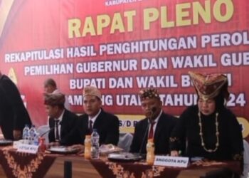 Menang Pilkada,  Hamartoni – Romli Pimpin Lampura Periode 2025 – 2030
