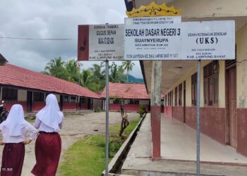 Waw!… Diduga Oknum Honorer Jarang Masuk Tapi Lulus P3K