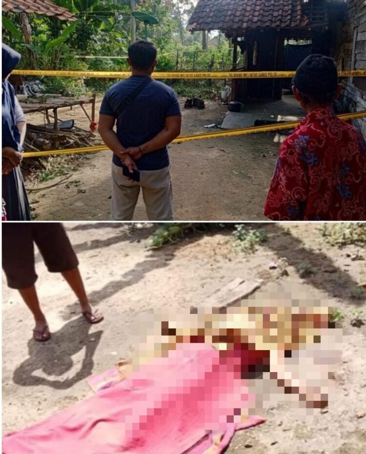 Tragis, Seorang Ibu Muda di Mesuji Jadi Korban Pembunuhan ODGJ