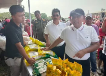 Bupati Lamsel Nanang Ermanto, cek pasar murah digelar Disdaperin