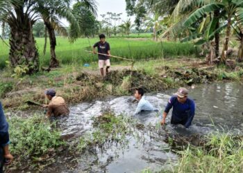 Cegah Banjir dan Wabah DBD, Warga Tirtalaga Gotong-royong Bersihkan Saluran Air
