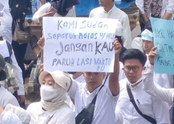 Telan Fakta Pahit, Honorer R2 dan R3 Tanggamus jadi PPPK Paruh Waktu