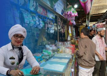 Monitor Pasar di Medio 2024, Kepala Diskoperindag Tanggamus: Harga Bahan Pokok Cenderung Stabil