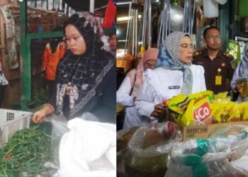 Jelang Ramadan 1446 H, TPID Tanggamus Klaim Harga Sembako Normal
