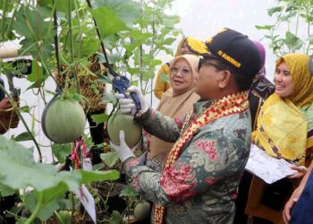 Pj Gubernur Lampung Salut dengan Inovasi Pekon Tanjung Heran
