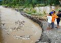 Banjir Rendam 30 Pekon di Tanggamus, 902 KK jadi Korban