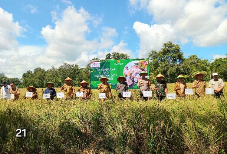 Bupati & Wabup Pringsewu Panen Raya Padi Serentak