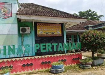 Hampir ” Rubuh, ” Kantor Dinas Pertanian Lampura Rusak Parah.