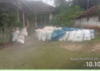 Oknum Pejabat Desa Gilih Suka Negeri, Bantah ” Selundupkan” Jagung Ke Bulog