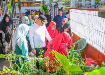 Masuki Musim Penghujan, Warga Diimbau Waspada DBD dan Intensif Lakukan PSN