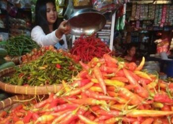 Menjelang Hari Raya Idul Adha, Harga Bapok di Kota Metro Stabil