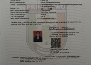 Ns.Nur Aliman S.kep Benar Mempunyai Surat Ijin Praktik Perawat (SIPP)