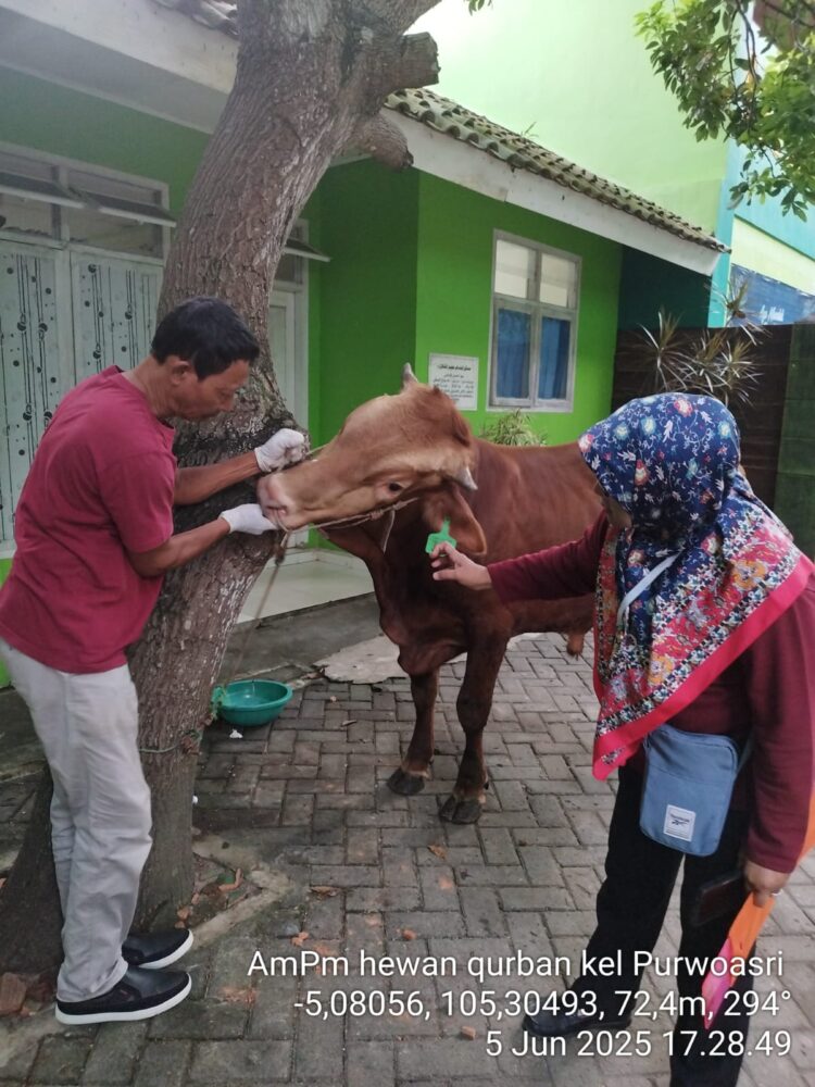 Hari Raya Idul Adha, DKP3 Catat Ada 3.868 Hewan di Kota Metro yang Dikurbankan!