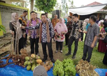 Waringinsari Timur & Pringsewu Timur Wakili Pringsewu Lomba Desa & Kelurahan Provinsi Lampung 2025