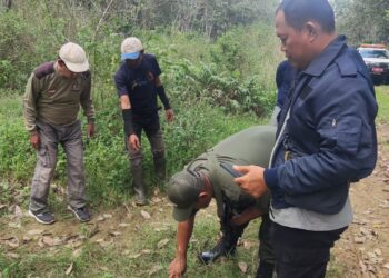 KPH Sungai Buaya dan BKSDA Lampung Pasang Perangkap Harimau di Kawasan Register 45
