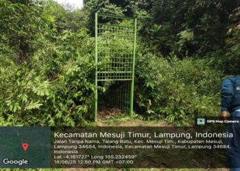 Kabar Penemuan Jejak Kaki di Duga Harimau di Register 45 Mesuji, KPH Himbau Masyarakat Waspada