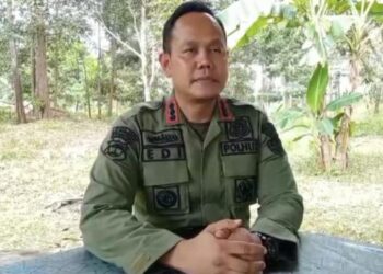 Sempat Viral, KPH Sungai Buaya Pastikan Jejak Kaki di Register 45 Mesuji Bukan Harimau